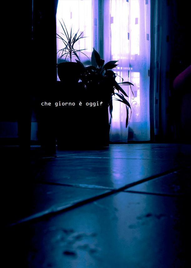 Routine - dieci scatti di luci e ombre, 2020