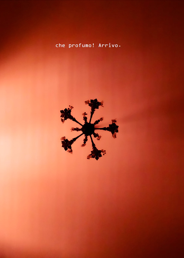 Routine - dieci scatti di luci e ombre, 2020